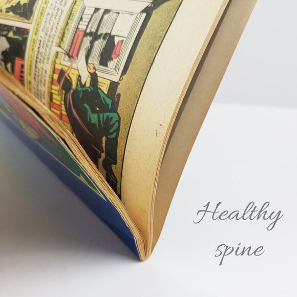 DC Comics 1st Famous Edition No. 3 All Star Comics Book 1975 Large TPB - Picture 4 of 8